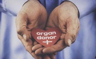 器官捐献 明星,器官捐献公益明星行动纪实