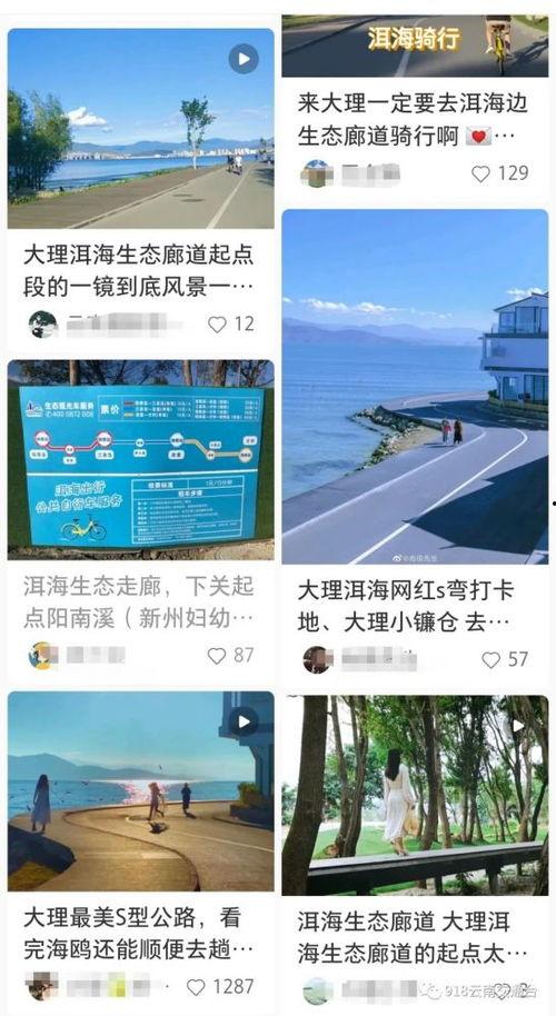 大理网红爆料是真的吗视频,事实还是炒作？