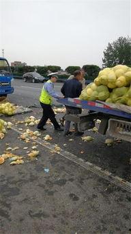 后车吃瓜,揭秘网络热议背后的真相与反思