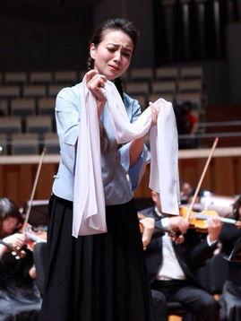 声乐老师明星,明星导师的声乐艺术之旅