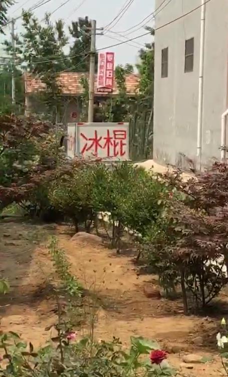 新沂的网红,揭秘这座古城的“网络新宠”