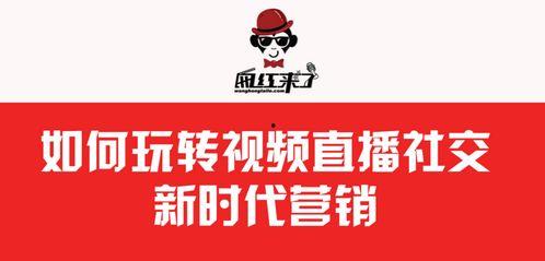 网红传媒有限公司,引领新媒体潮流的传媒巨头