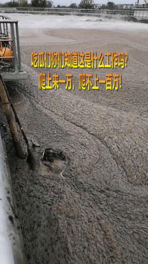 吃瓜爬外墙,揭秘娱乐圈幕后风云