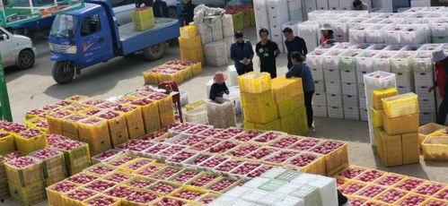 在头条上卖什么果子好呢,揭秘哪些果子最受欢迎