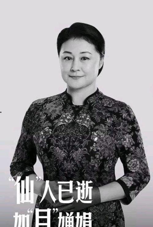 于月仙头条小视频,展现真实生活瞬间