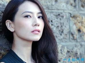 明星中国名字,揭秘明星们的中国名字背后的故事