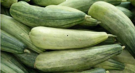 网红蜜瓜产自,探寻甜蜜之源的秘密基地