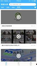 检测头条内容的软件,揭秘检测头条内容软件的神奇功能