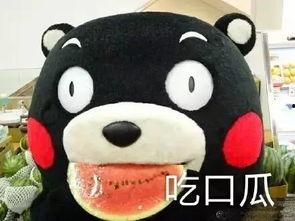 吃瓜的歌很可爱,这首歌曲带你领略可爱魅力