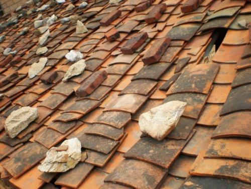 网红图片瓦,揭秘网络红人的魅力与影响力