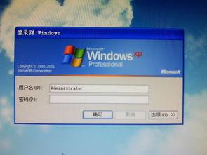 头条开宝箱需要密码,轻松解锁丰厚奖励，快来尝试！”