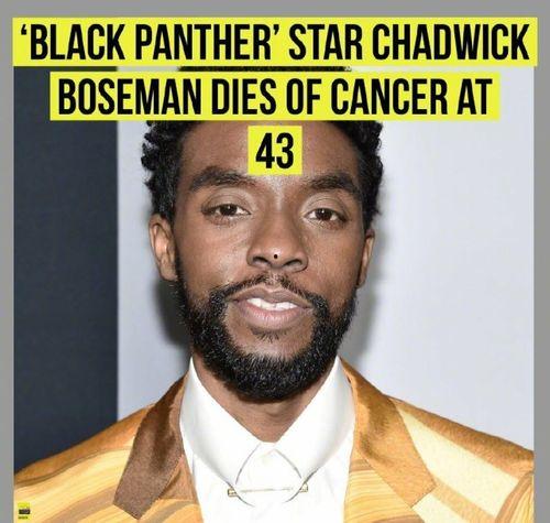 2020年死亡名人明星,永恒星光陨落，传奇故事永存