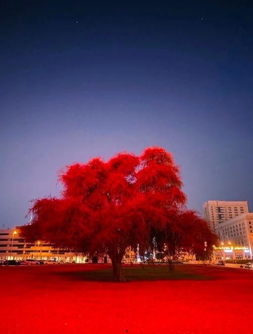 今日头条夜晚摄影大赛,今日头条摄影大赛精彩瞬间回顾