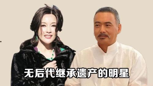 明星遗产继承,揭秘明星遗产继承之谜