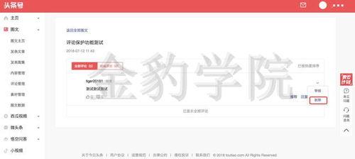 微头条视频的作者,揭秘微头条视频作者背后的故事